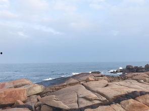 海角吃瓜黑料不打洋,黑料风波背后的真相与反思